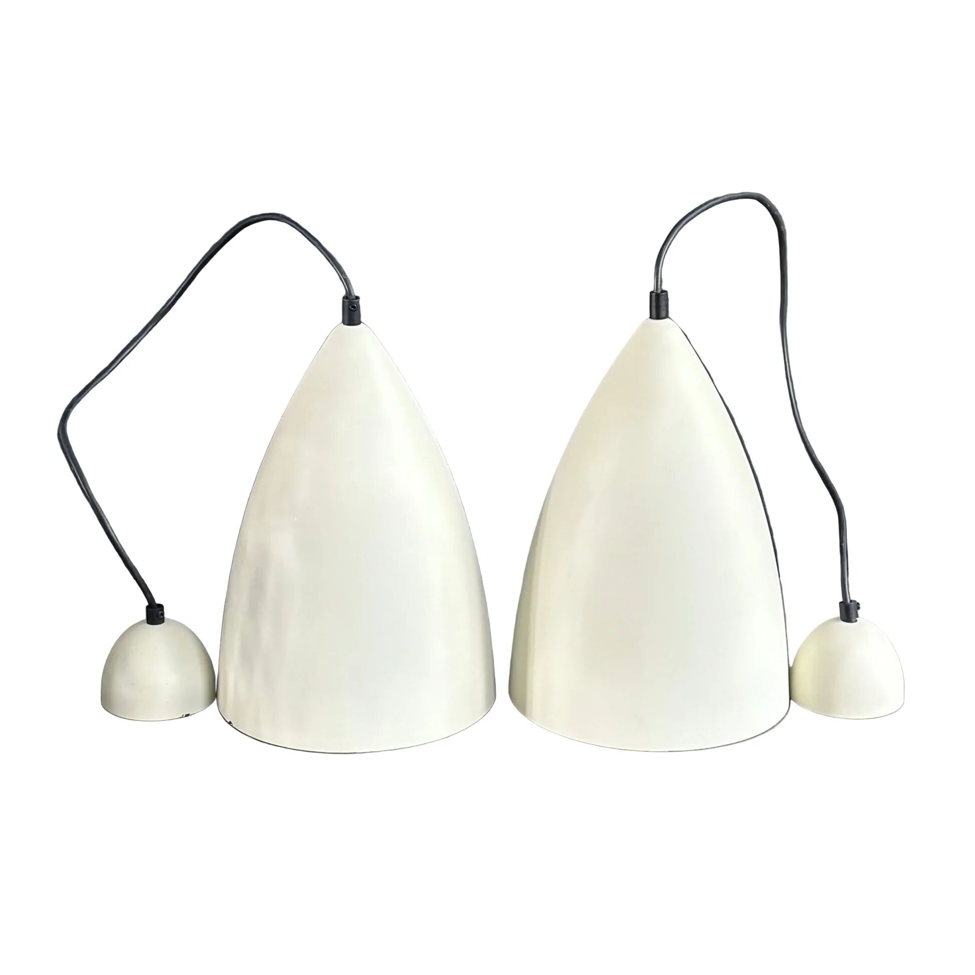 Pair of lacquered metal pendant lights with rose.