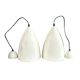 Pair of lacquered metal pendant lights with rose.