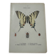 Old botanical lithograph naturalist double-sided