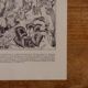 Lithographies originales sur les fleurs