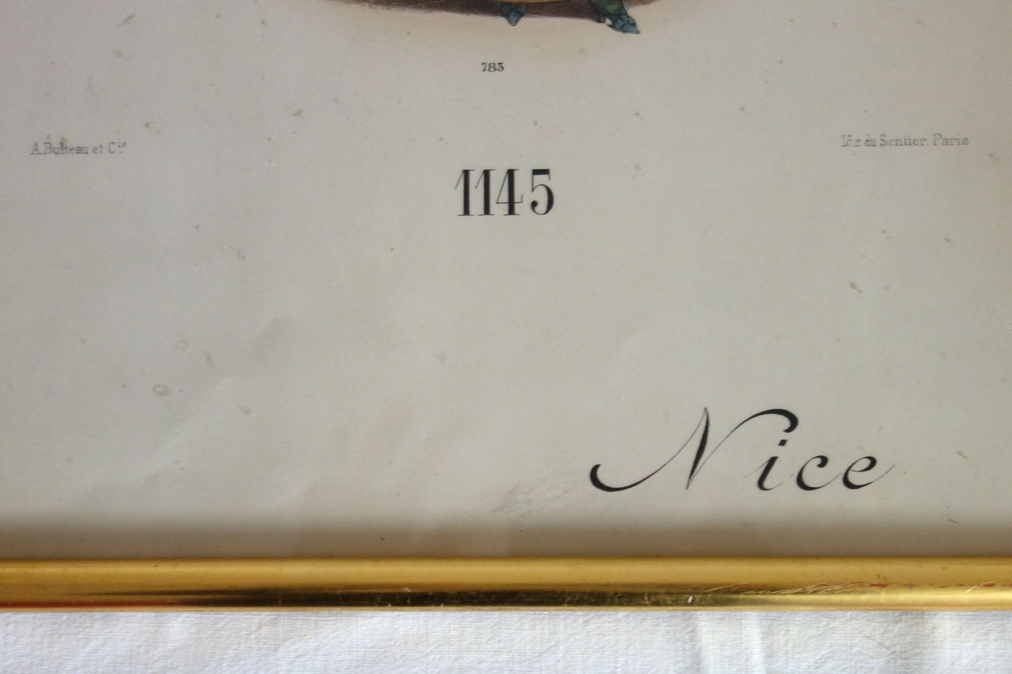 Fashion engraving "Nice" circa 1890