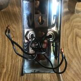 Pair of double flower wall sconce