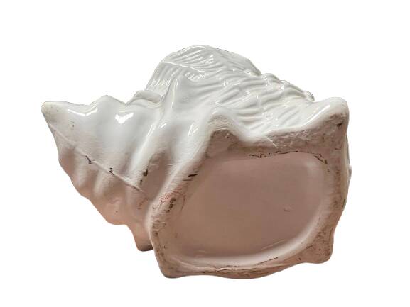 Shell-shaped ceramic vase