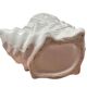 Shell-shaped ceramic vase