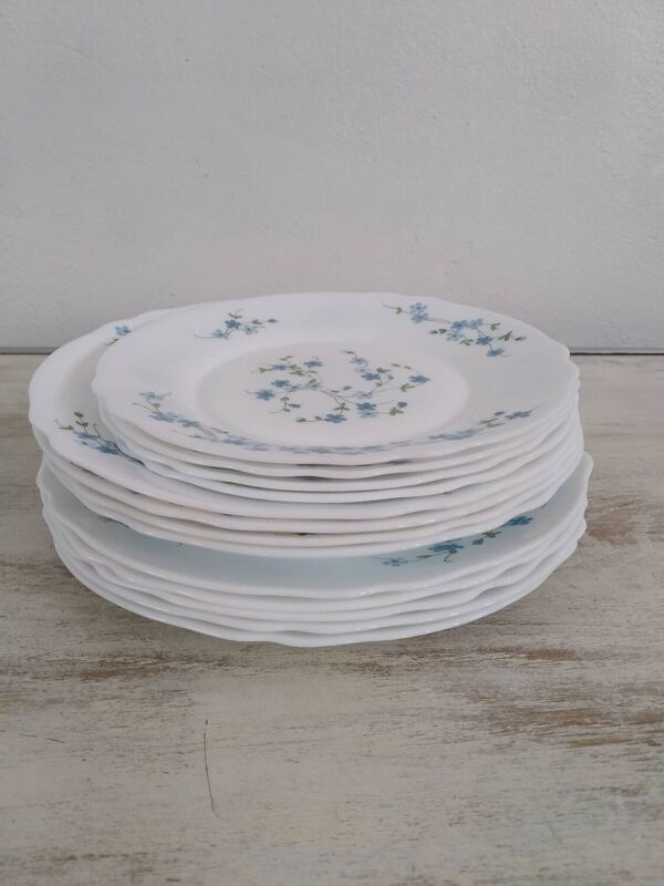 Service de table arcopal modèle Veronica