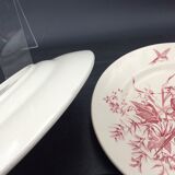 2 ancient plates longchamp congo parrot antique french plate parrot