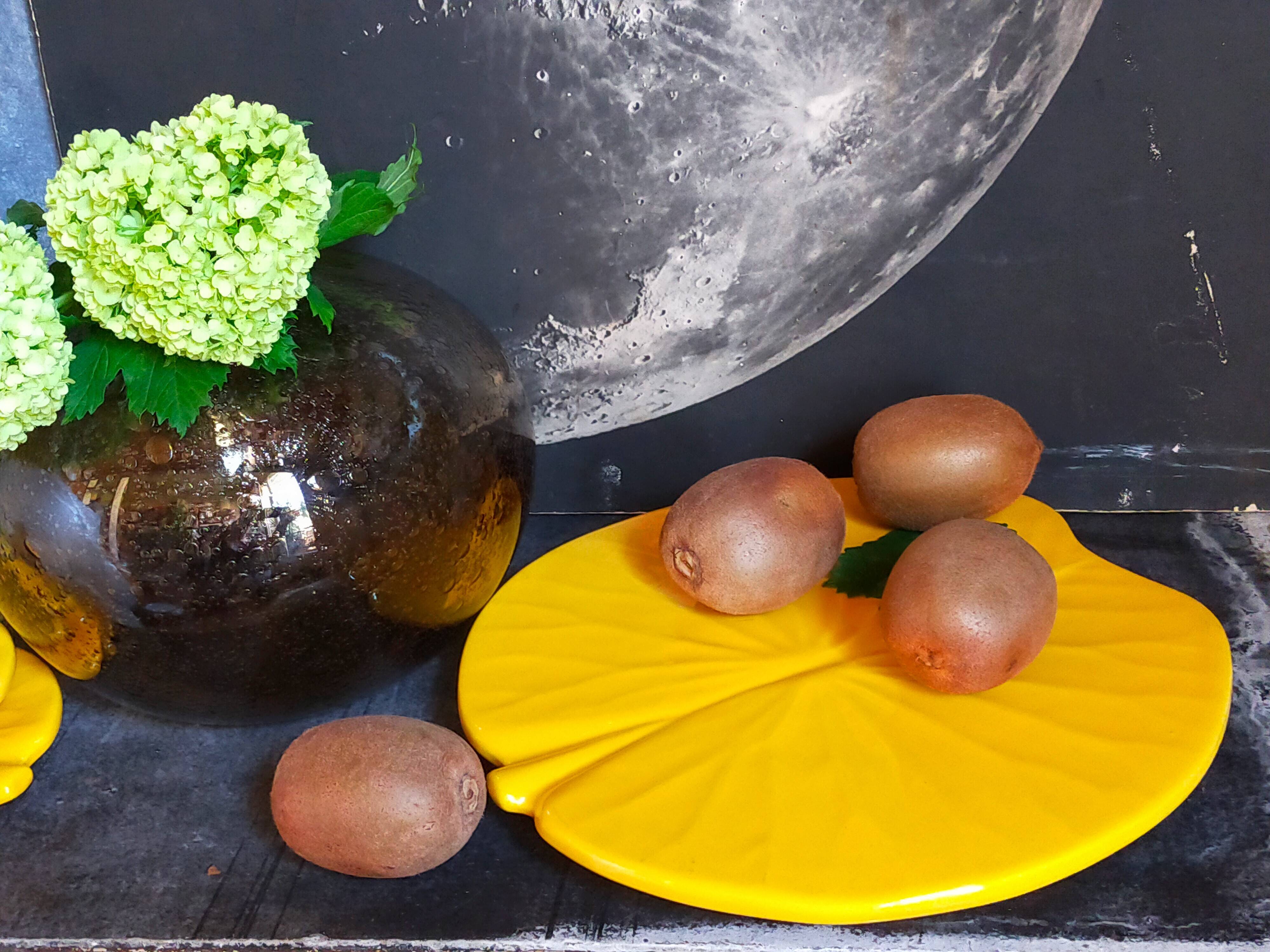 Three vintage water lily presentation dishes in slip