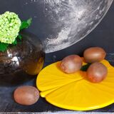 Trois plats de présentation nénuphars en barbotine vintages