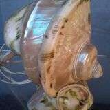 Vintage shell night light lamp from the 1960s