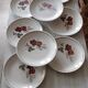 Lot de seize assiettes plates