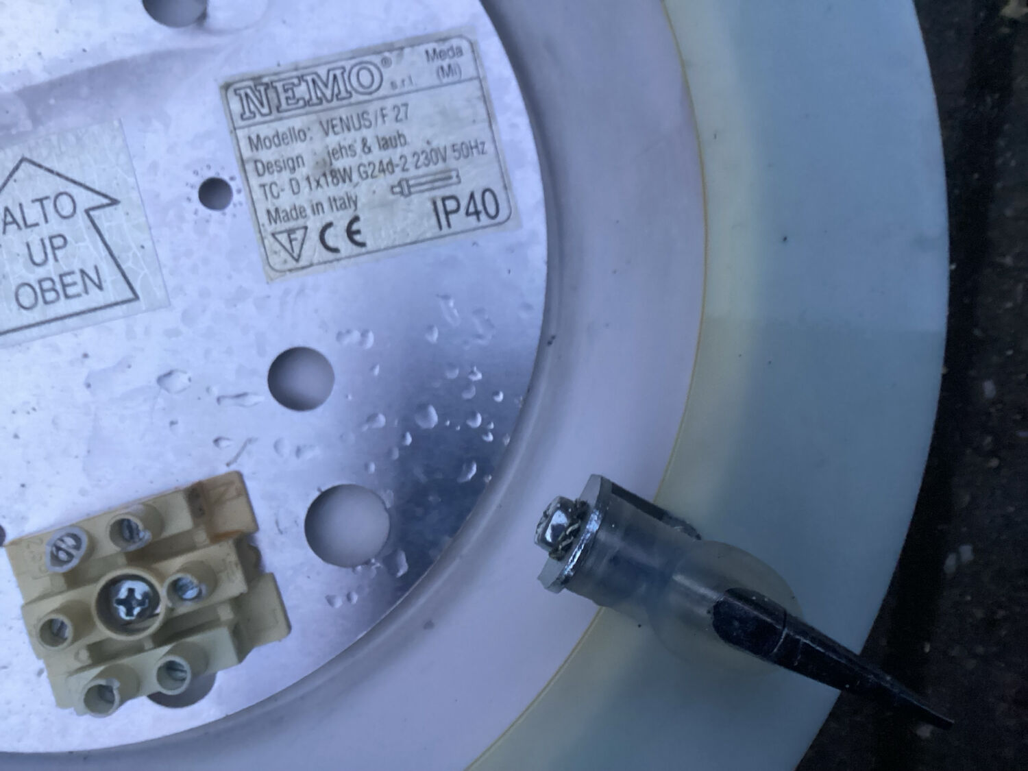 Wall lamp by nemo type venus 1980 design jehs & laub