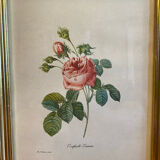 Set of decorative frames