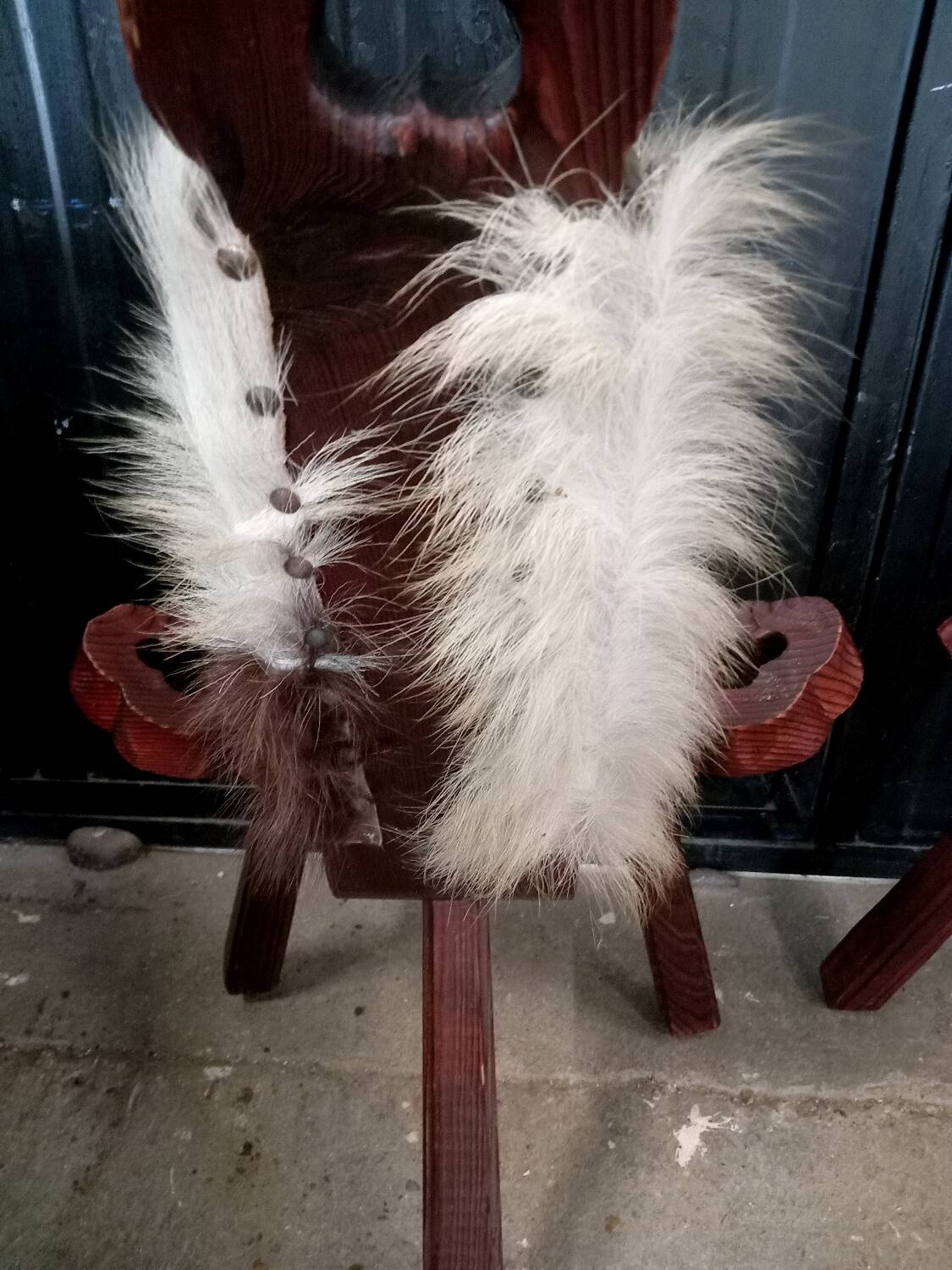 Pair of brutalist tripod chairs in wood and cowhide