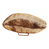 Fossil