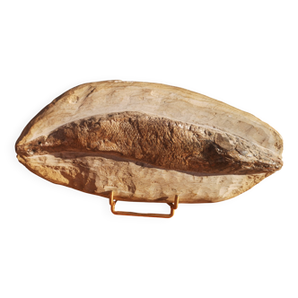 Fossil