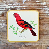 Box of 6 coasters bird motif
