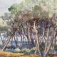 Watercolor painting andré casabonne (1922-1950) orientalist sidi ferruch algeria