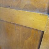 René Gabriel disaster cabinet