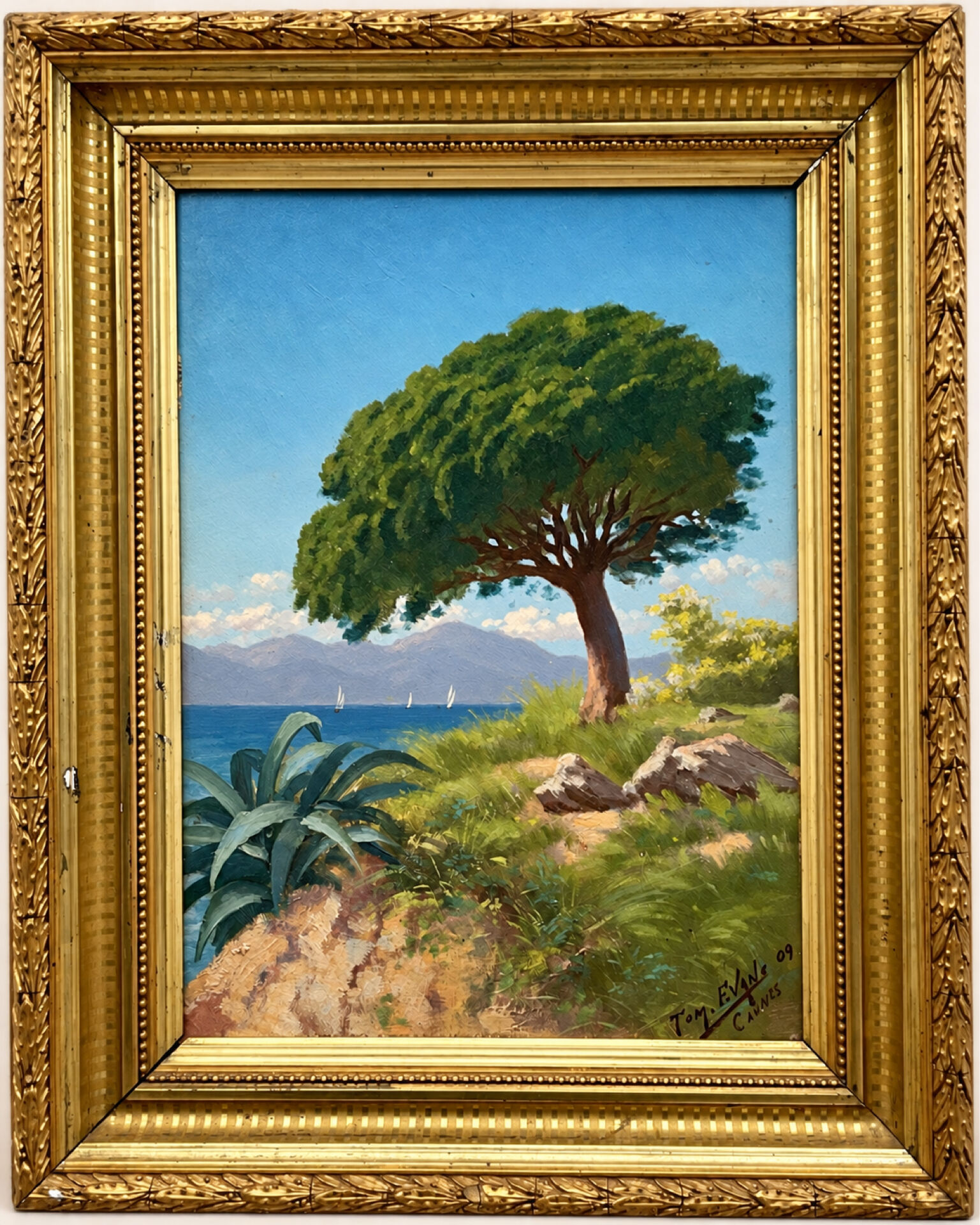 Oil on panel Cannes La Bocca 1909 signed Tom Evans
