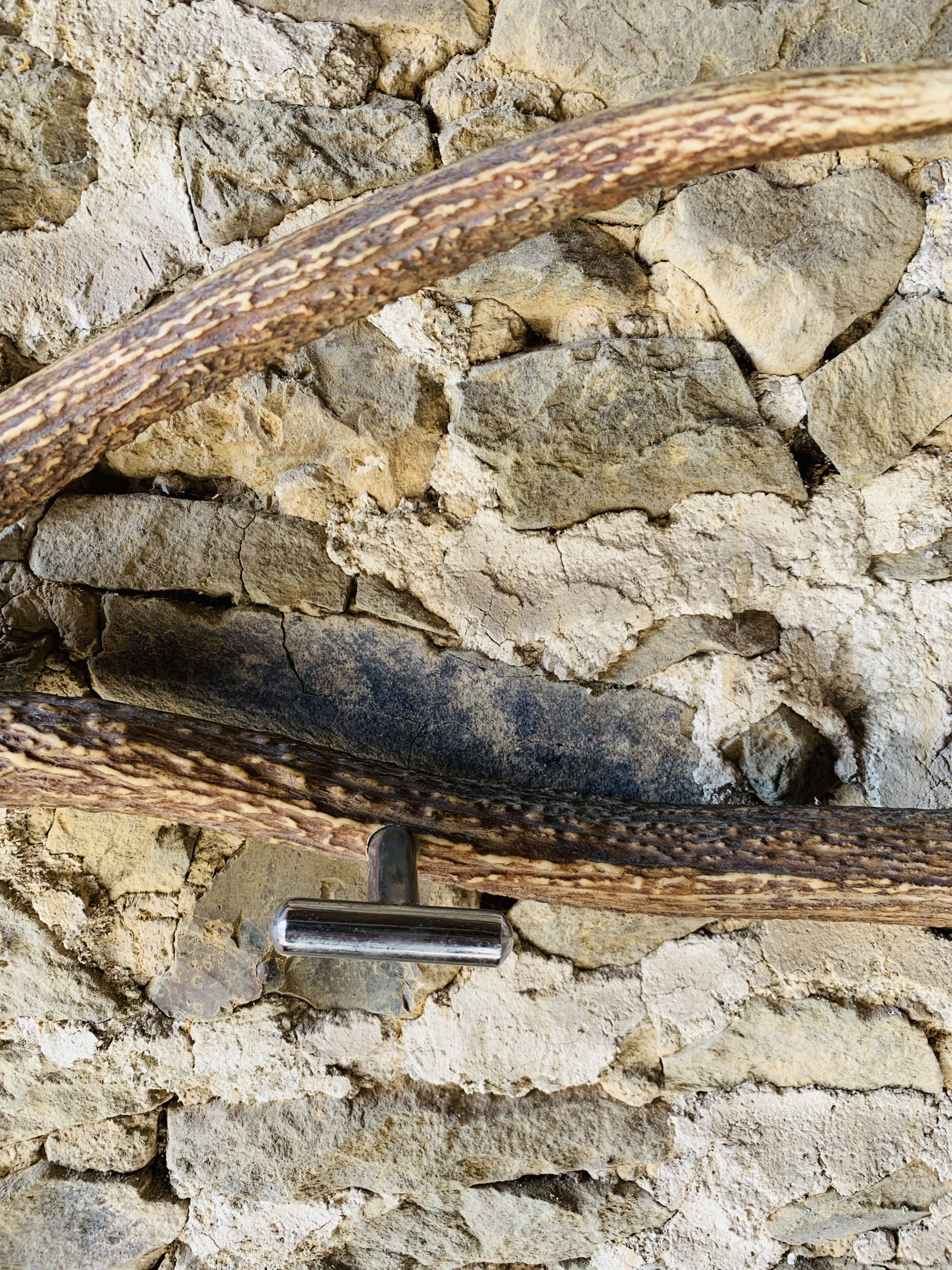 Deer antler coat rack 3 hooks