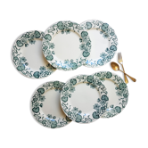 Set of 6 flat plates iron earth "water lily" r&a salins