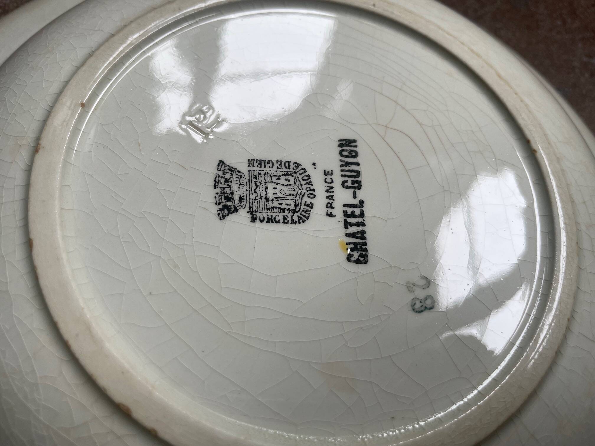 opaque porcelain dish from Gien -Chatel Guyon