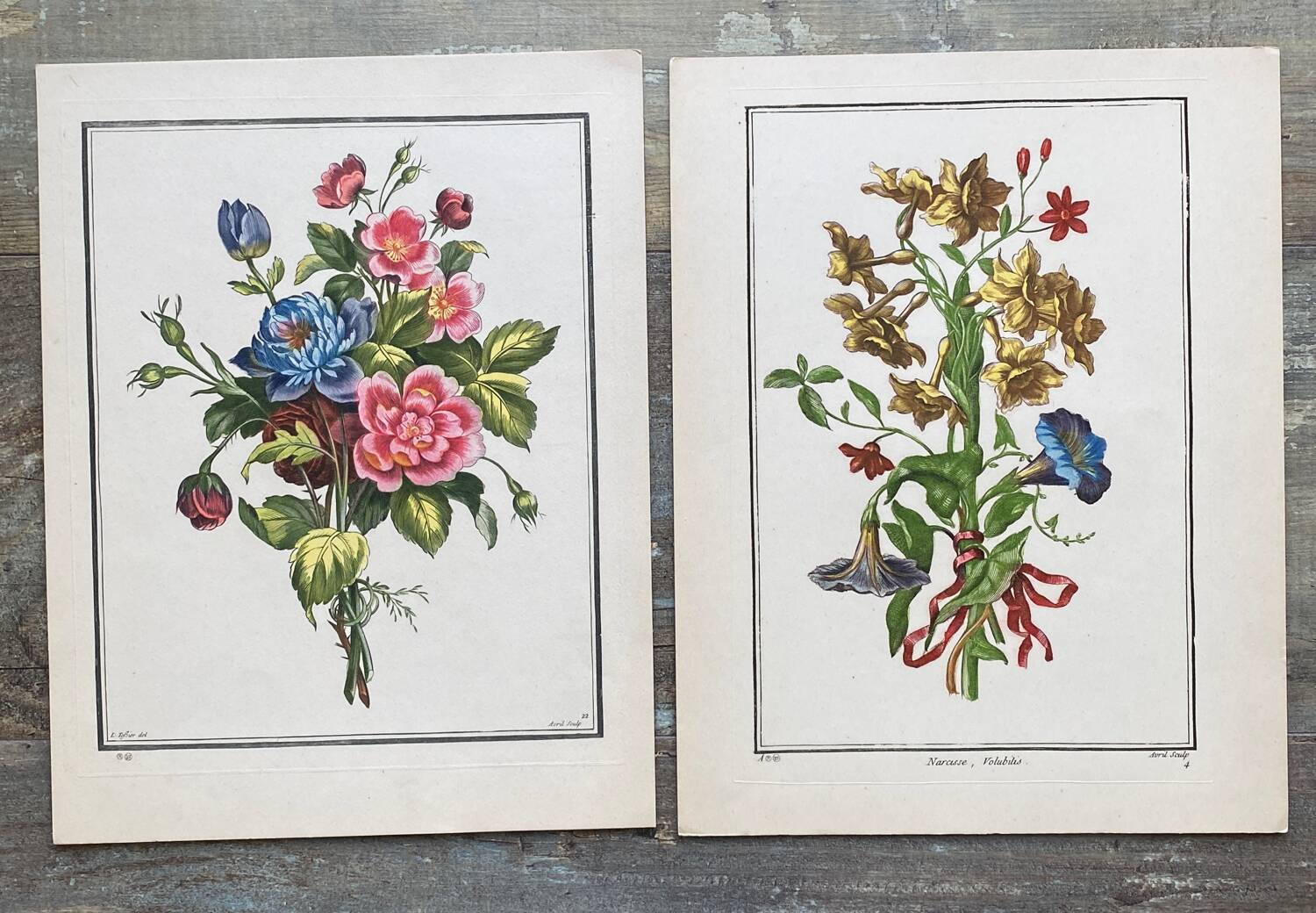 Two floral lithographs 224