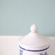 Pharmacy pot Atropa Belladonna longchamp earthenware