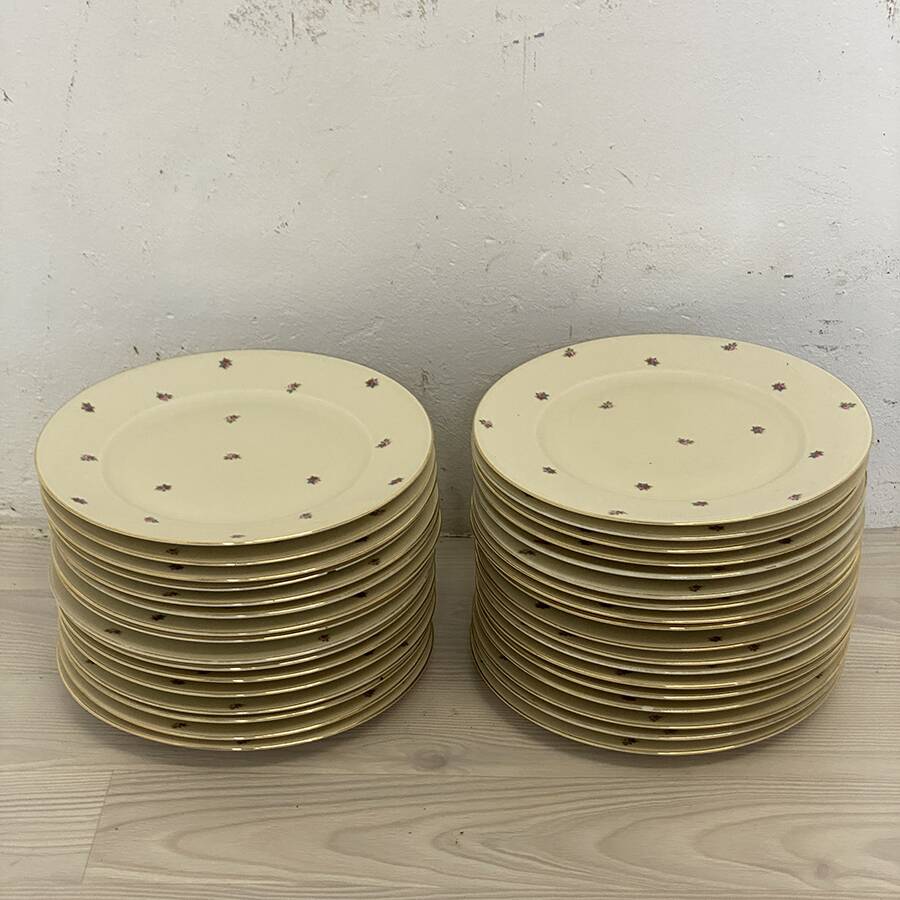 Bohemia Royal Ivory porcelain dinnerware set 1900