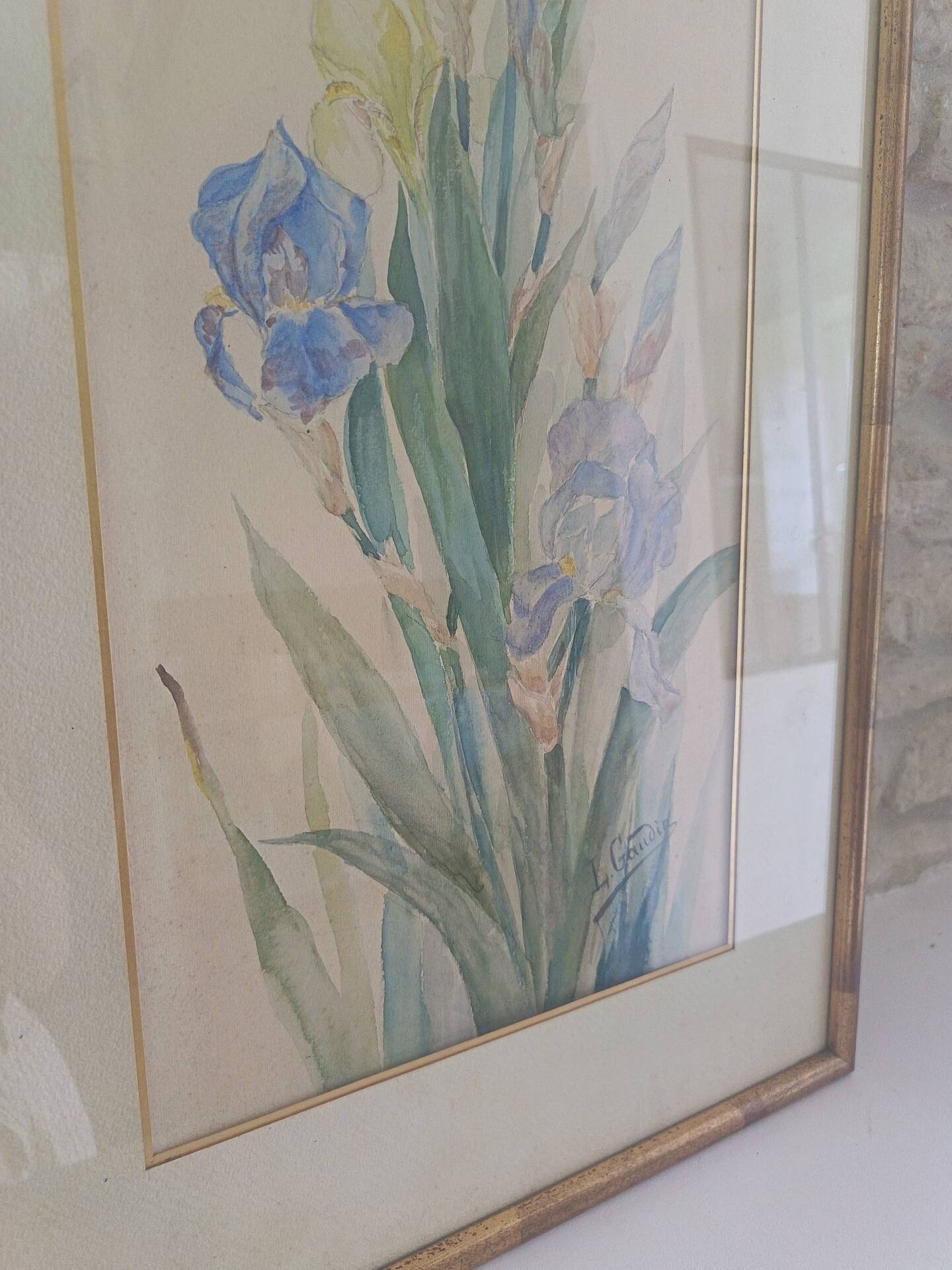 Painting of an iris