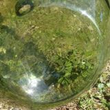 Ancienne dame jeanne 12 litre