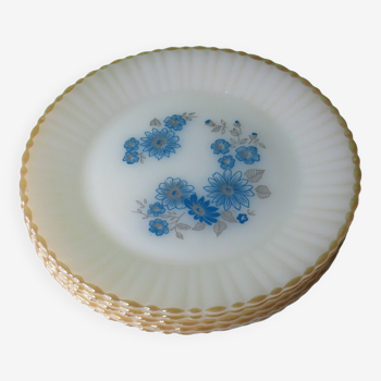 6 flat plates Termocrisa Mexico foral blue and pearly finish