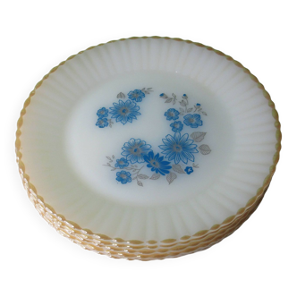 6 flat plates Termocrisa Mexico foral blue and pearly finish