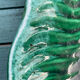Dish Vallauris