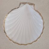 Paris porcelain shell-shaped bowl