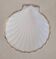 Shell-shaped bowl in Paris porcelain