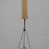Mid-Century Floor Lamp, Europe, 1960s, Restored