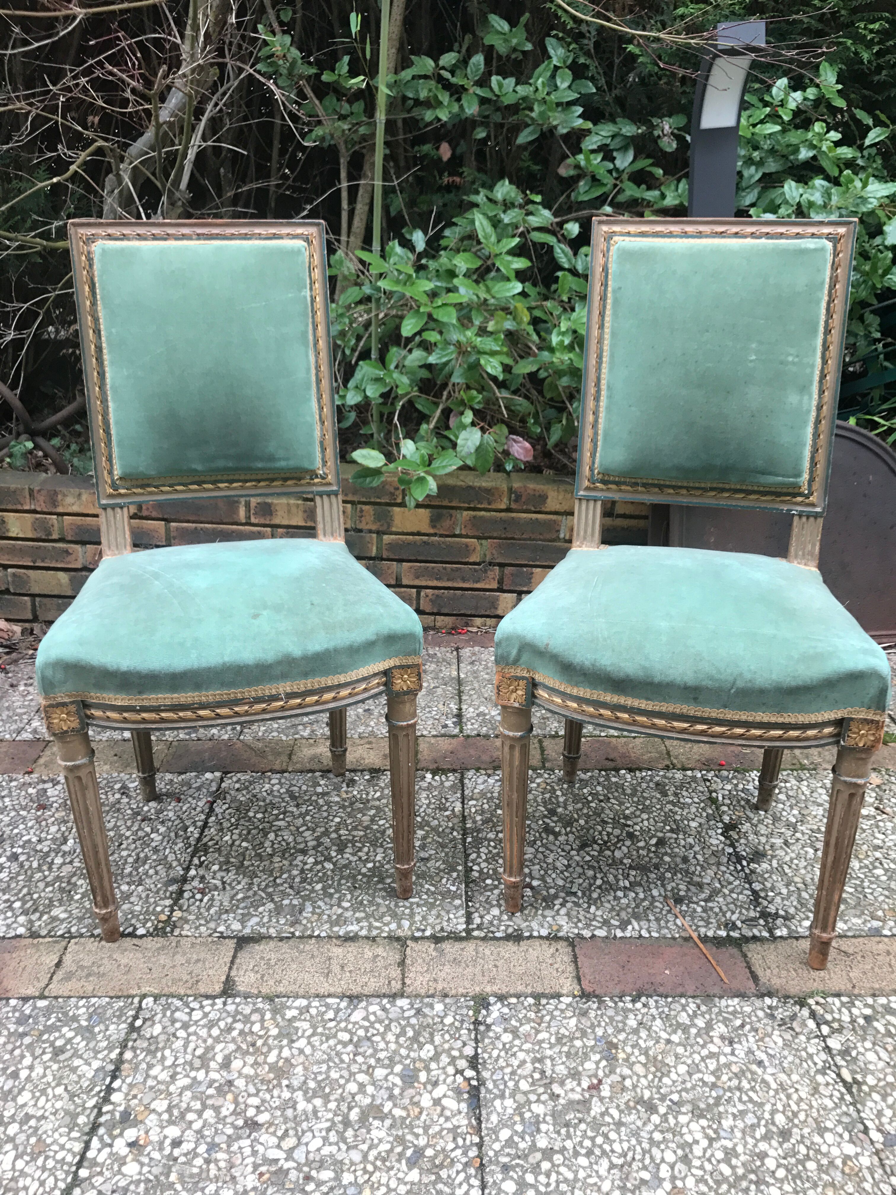Pair of Louis XVI style chairs