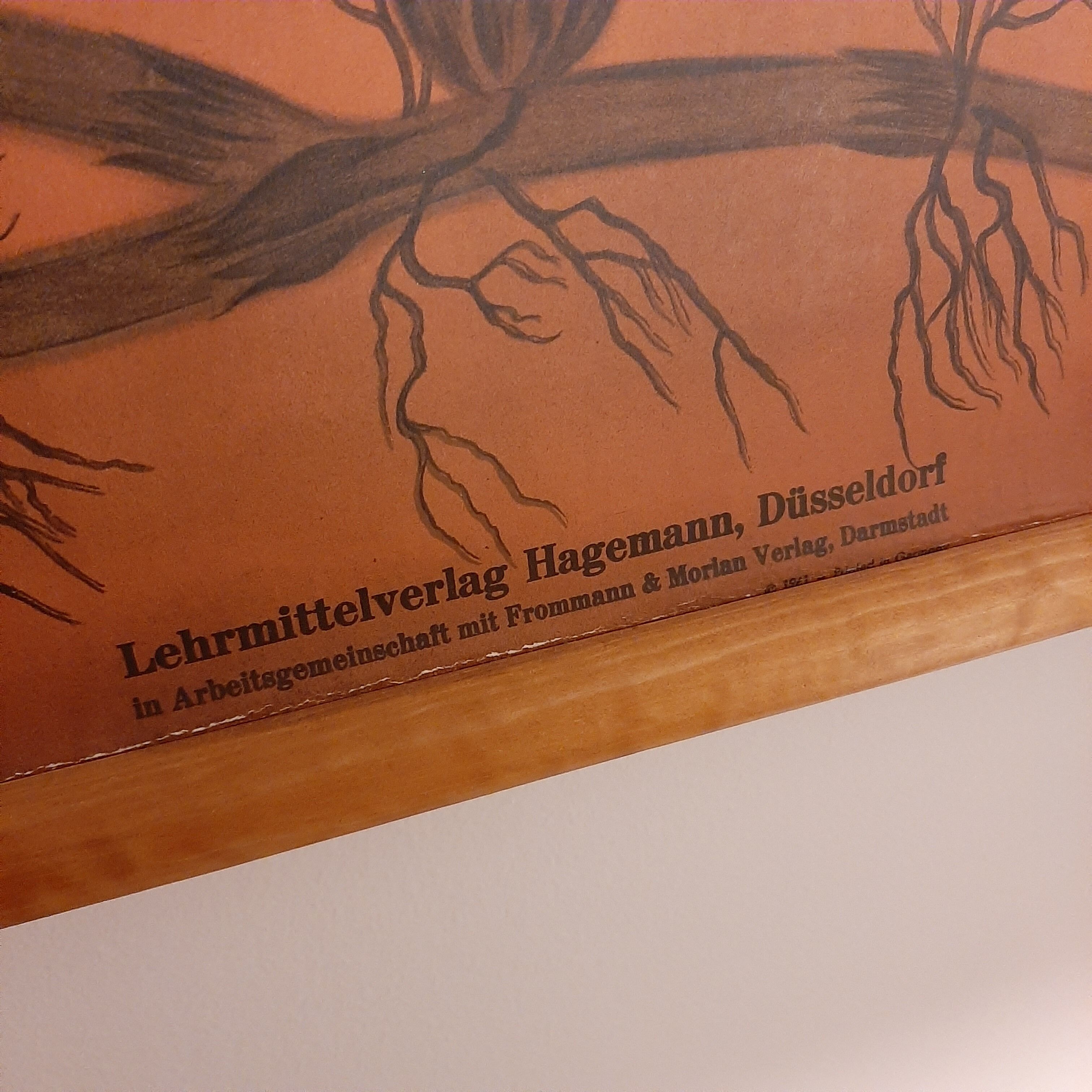 The Lehrmittelverlag Hagemann didactic board