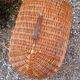 Vintage dog house year 50 in rattan