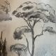 Charcoal painting signed “landscape of Provence” umbrella pines