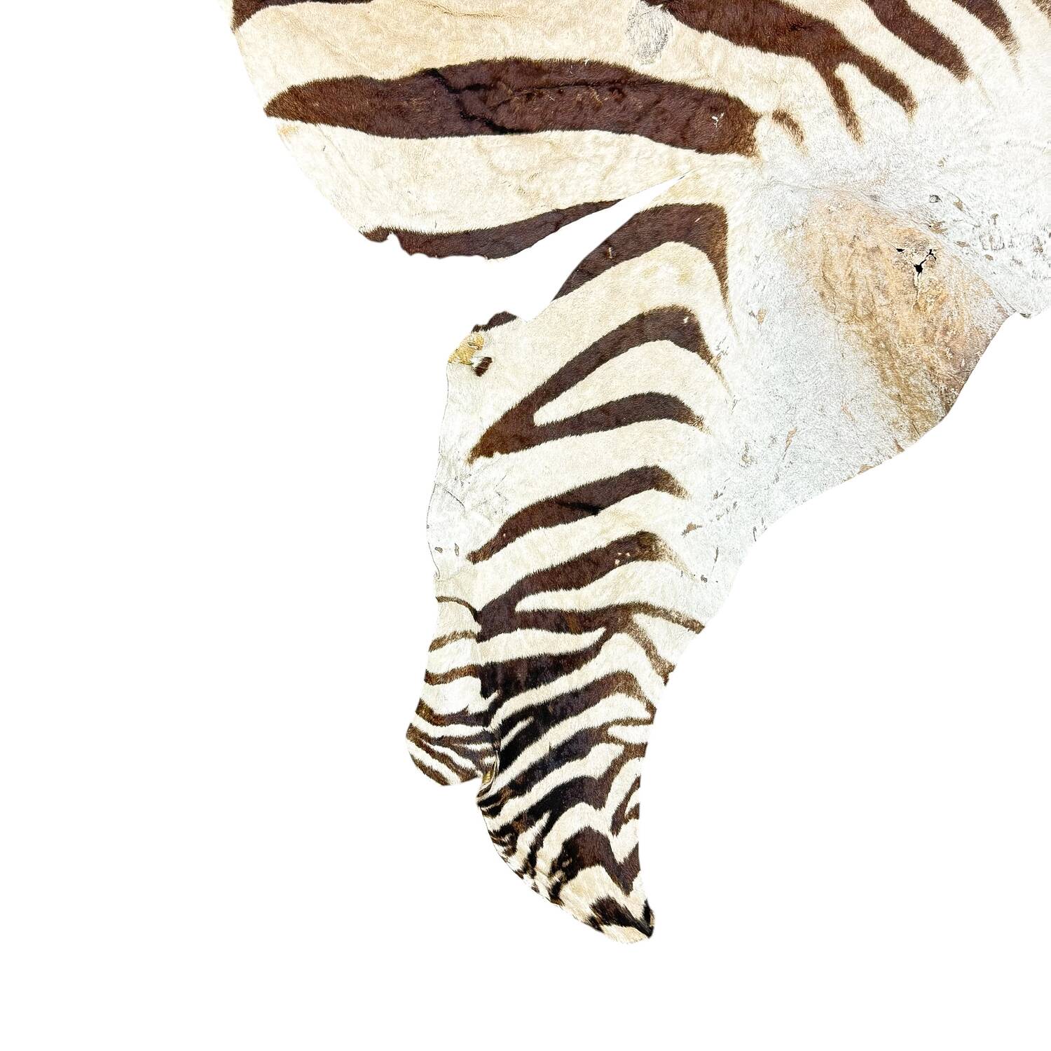 Tapis en peau de zèbre vintage – Peau d'animal africaine authentique – Décoration intérieure