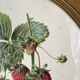 Framed botanical print of Fragaria Grandiflora