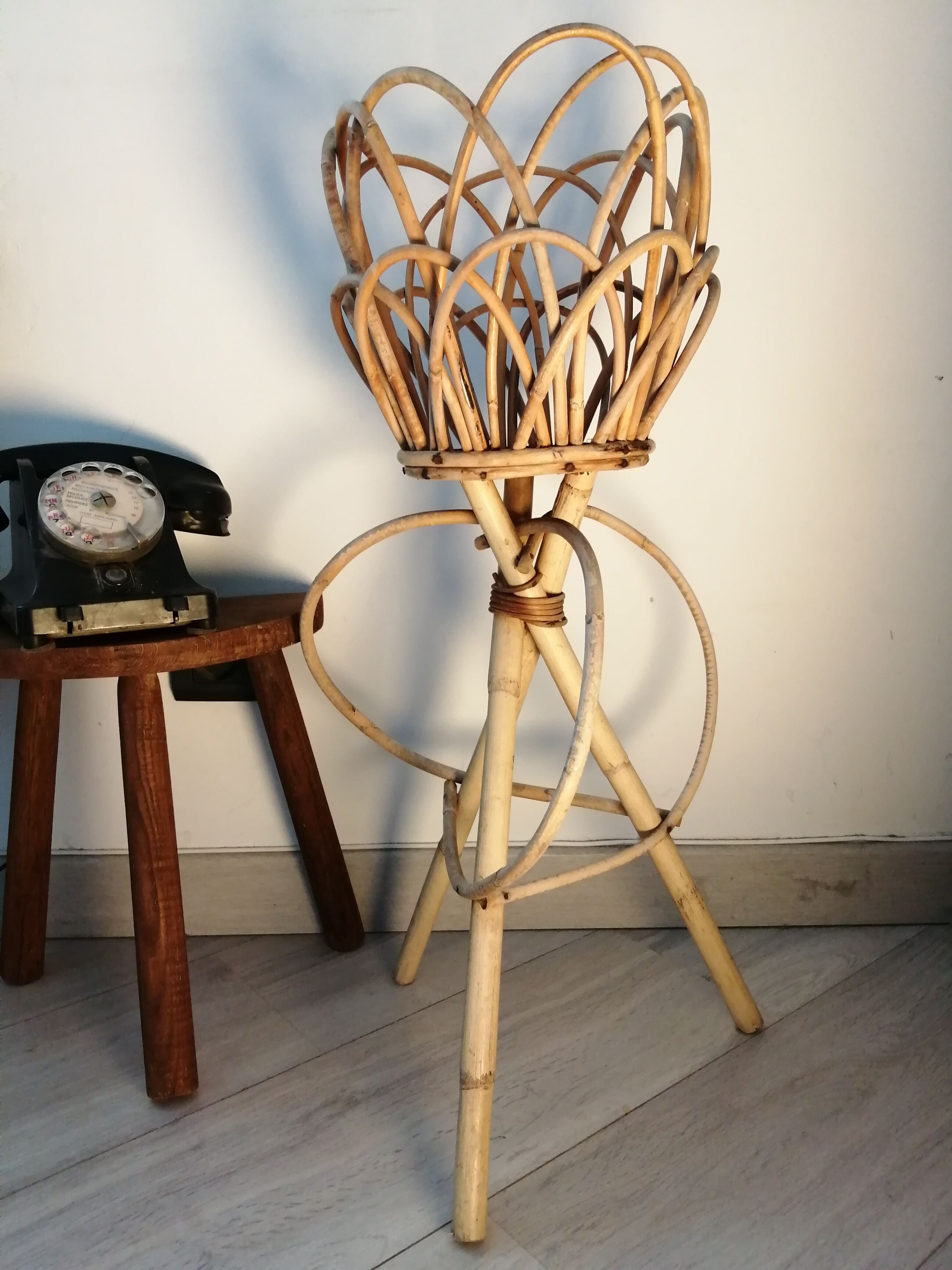 Door rattan plant 60s