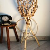Door rattan plant 60s