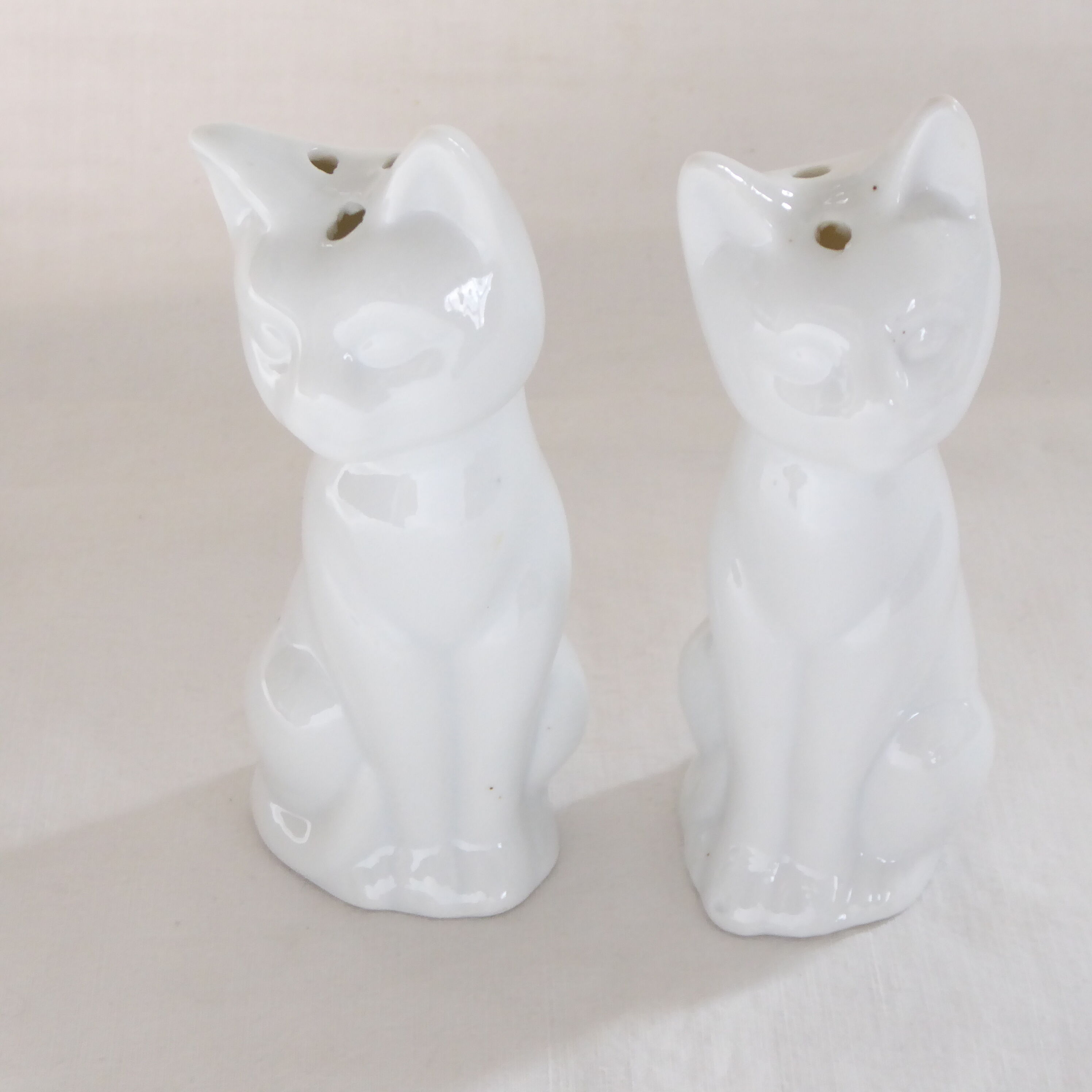 Salt and pepper shaker