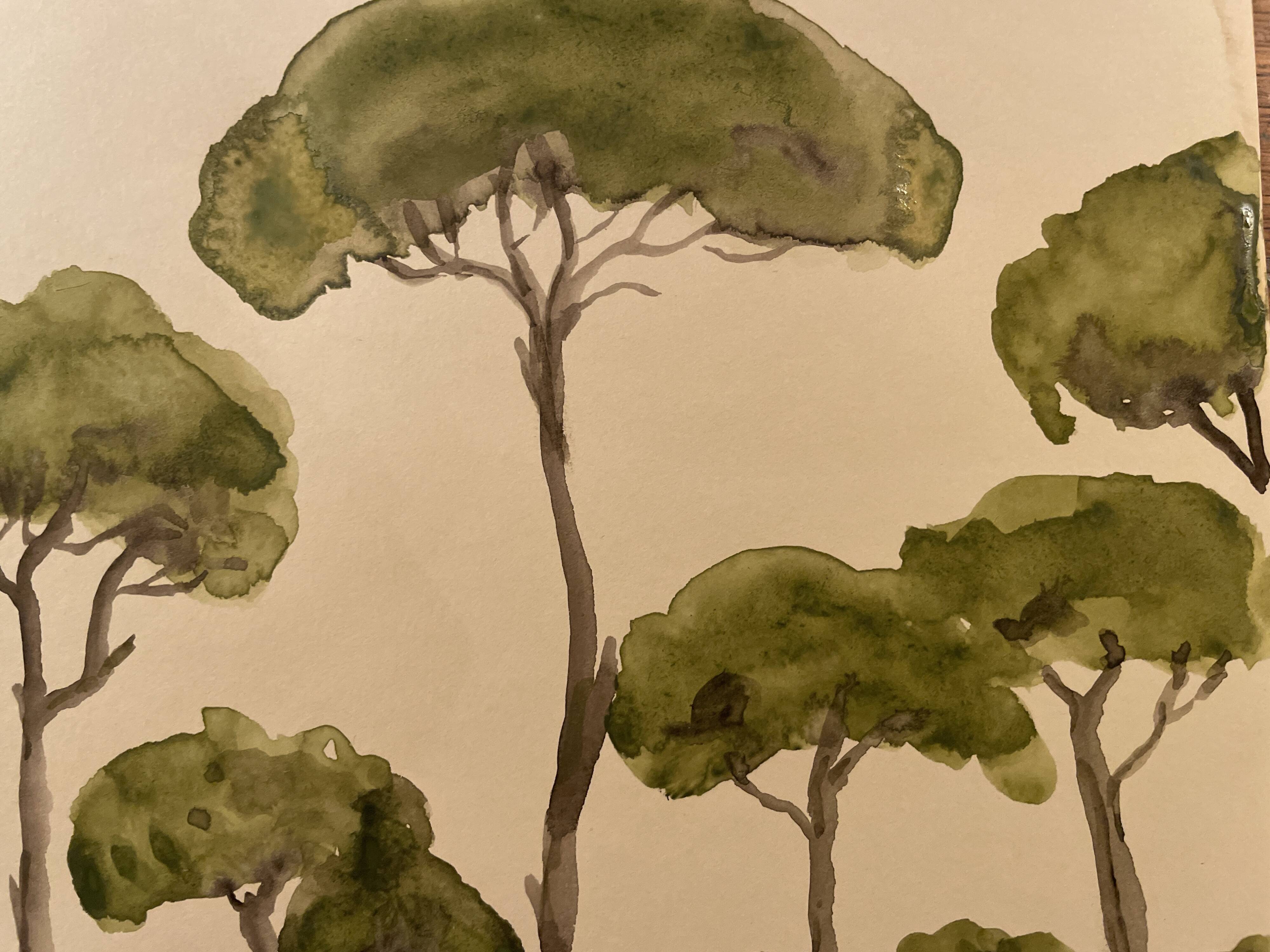 Tableau signé aquarelle « pinède du Lubéron »