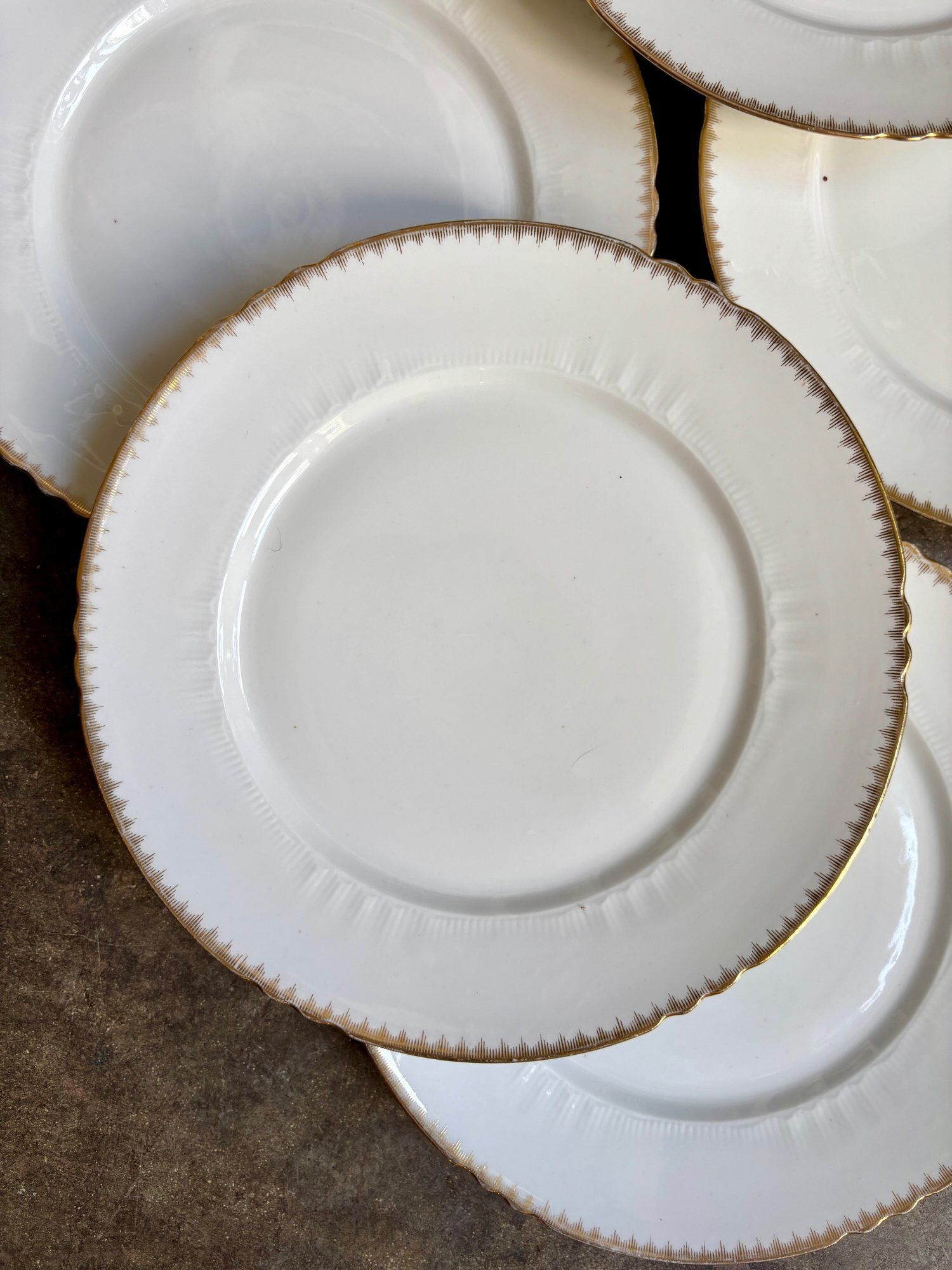 6 flat plates in gold Limoges porcelain