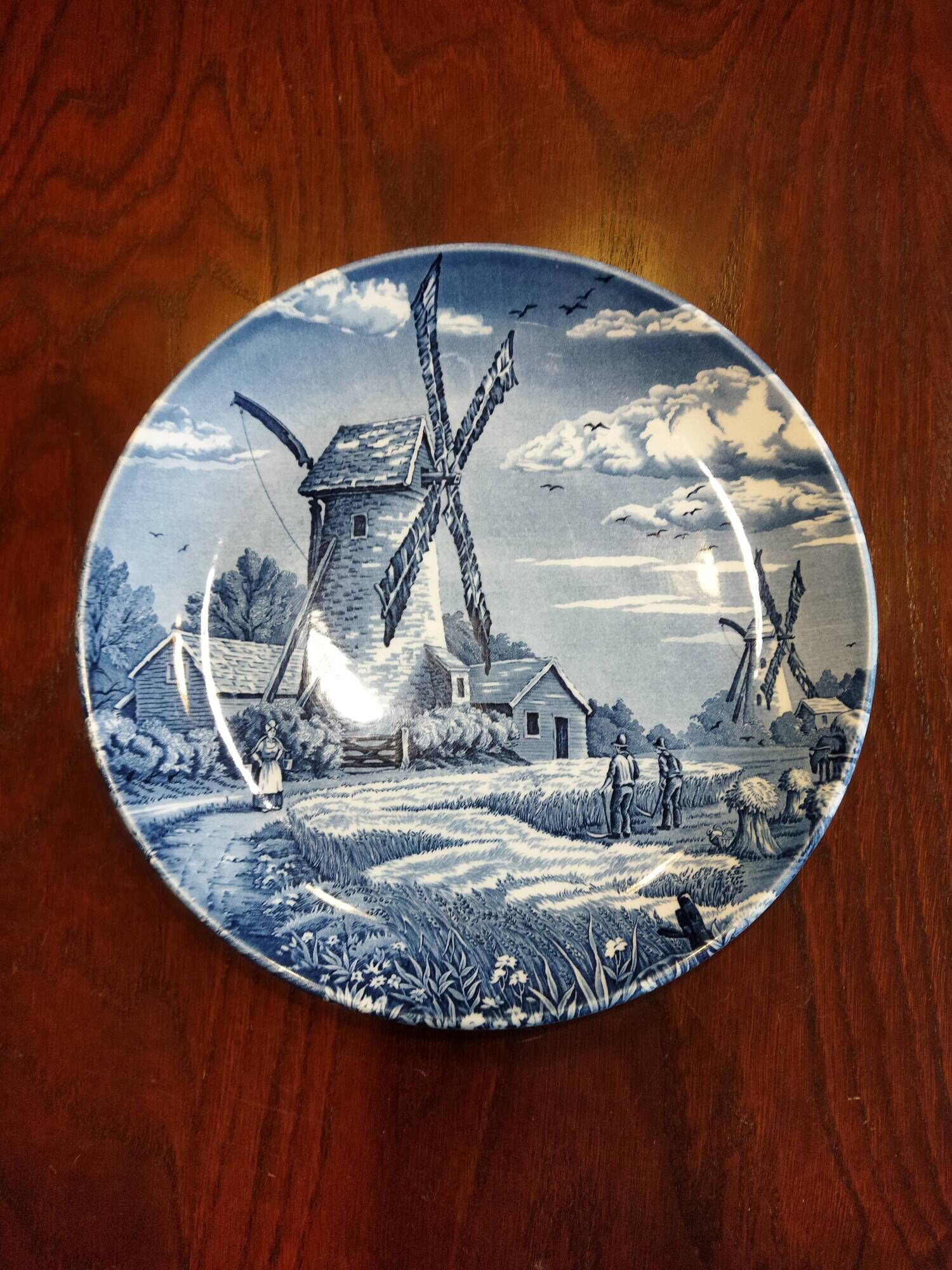 8 blue & white dinner plates (Royal Tudor Gien Lunéville Ceraminter)