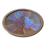 Bowl decorated with butterfly wings